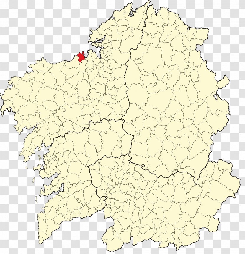 Bueu Ferrol Campo Lameiro Concello De Ponteareas Wikipedia - Municipality - Salamandre Du Nordouest Transparent PNG