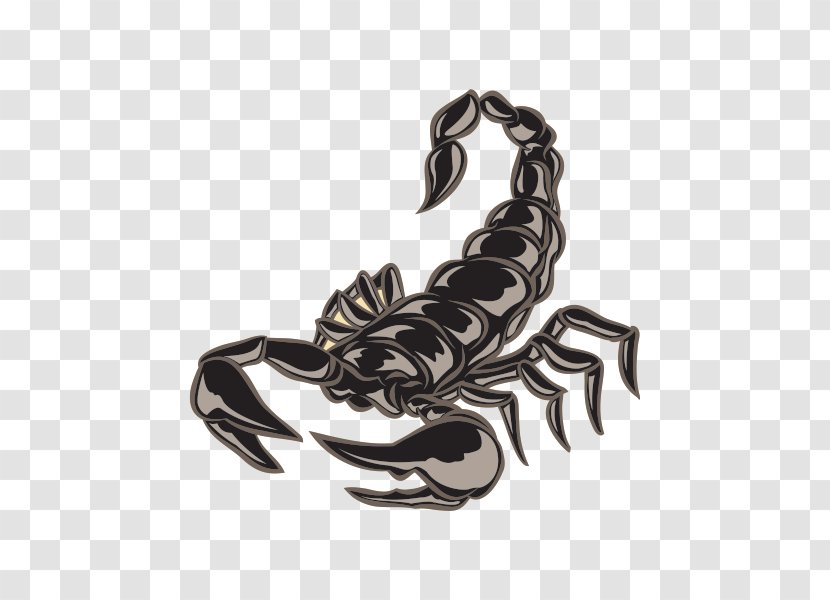 Scorpion Lobster Decapoda Homarus Crab - Arachnid Claw Transparent PNG