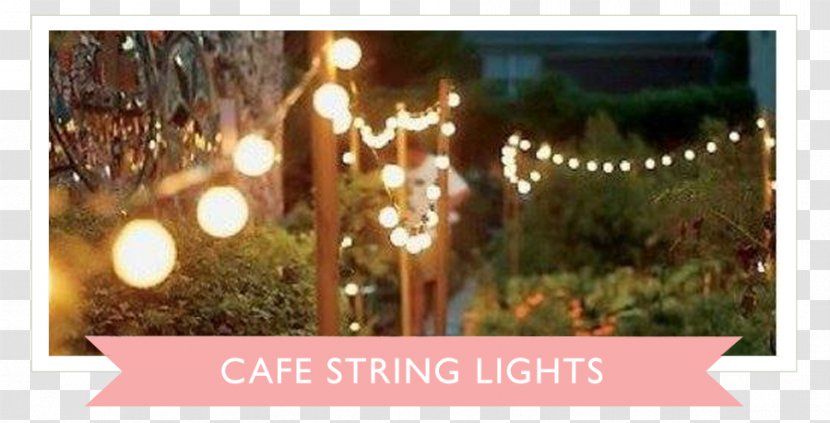 Landscape Lighting Backyard Street Light - Christmas Ornament - String Lights Wedding Transparent PNG