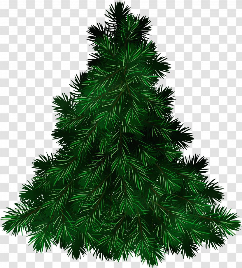 Christmas Black And White - Ornament - Juniper Sugar Pine Transparent PNG