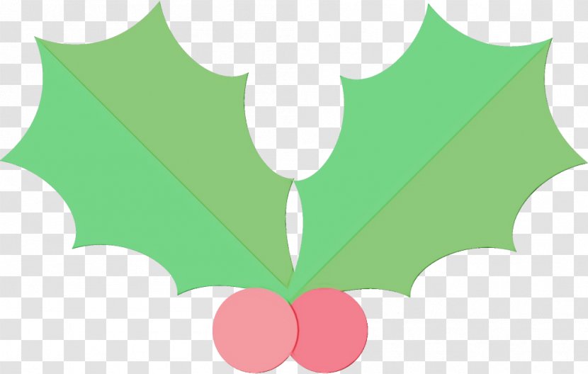 Holly - Plant - Plane Symbol Transparent PNG