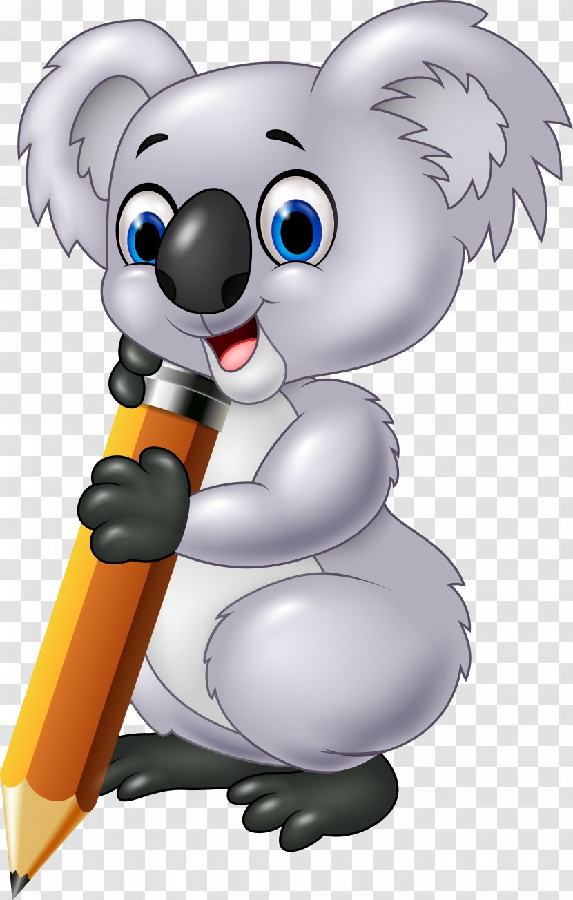 Photography Drawing - Vertebrate - Koala Transparent PNG