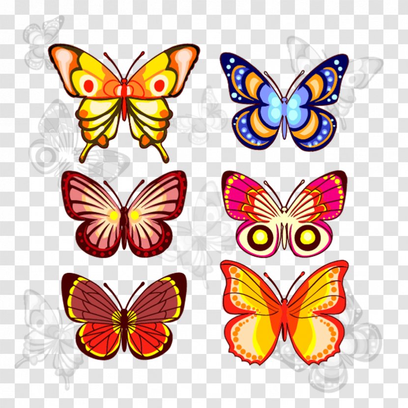 Butterfly Insect Wing Bird Transparent PNG