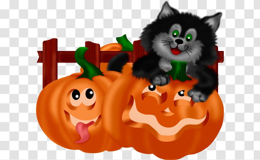 Kitten Cat Whiskers Pumpkin Orange - Animation - Cartoon Funny Transparent PNG