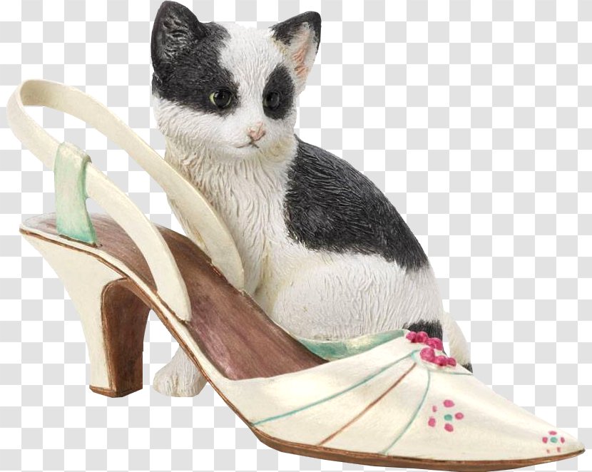 Kitten Photographic Paper Cat Printing - Shoe Transparent PNG