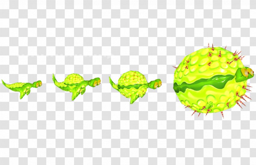 Green Fruit Organism - Yellow - New Indie Transparent PNG