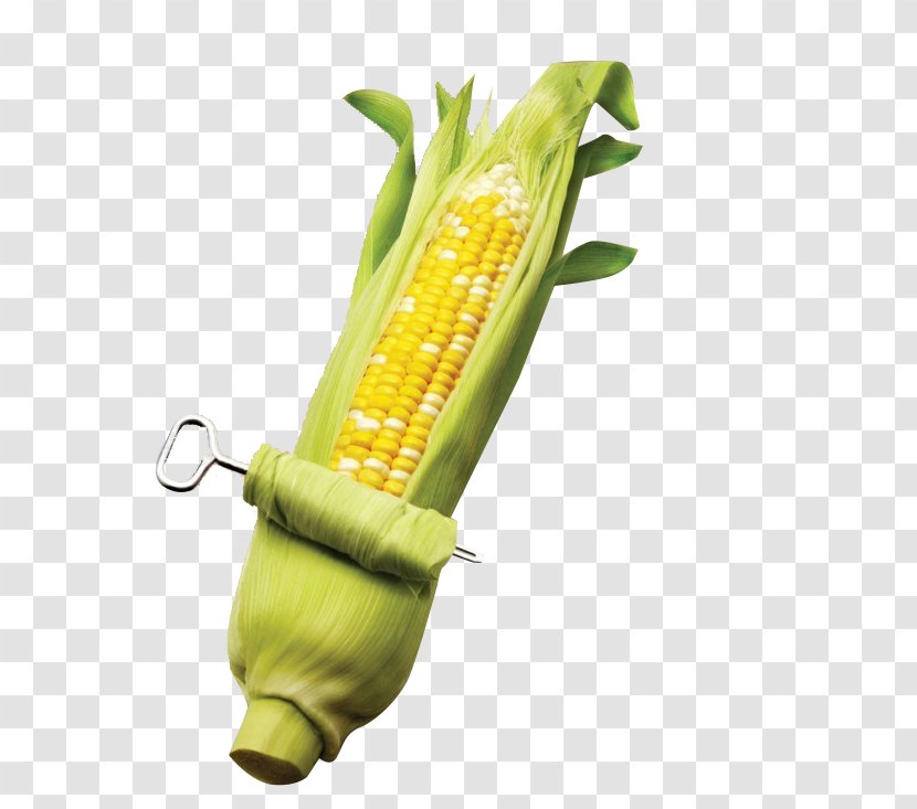 Corn On The Cob Maize Kernel Sweet - Mature Transparent PNG
