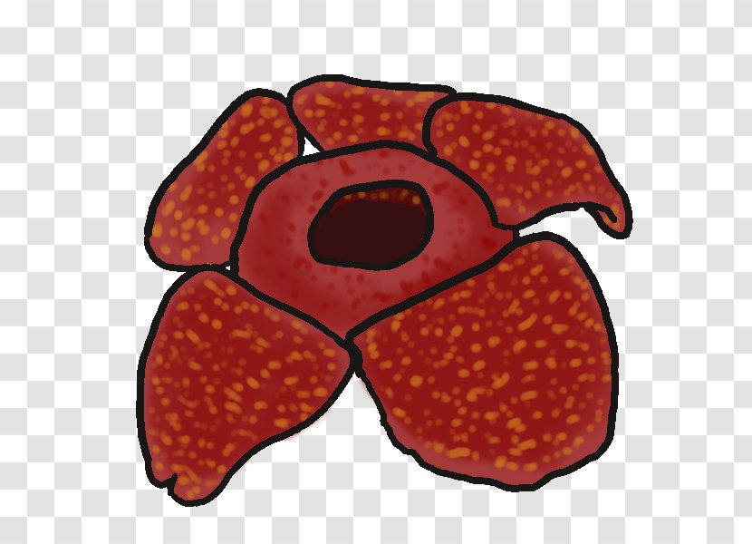 Rafflesia Arnoldii Drawing Cantleyi Clip Art - Free Content - Emit Cliparts Transparent PNG
