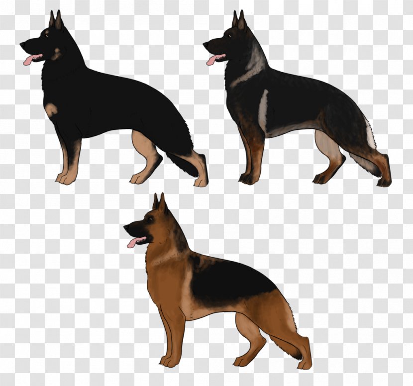 Ormskirk Terrier German Shepherd Australian Kelpie Kunming Wolfdog Cattle Dog - Vulnerable Native Breeds - Australia Transparent PNG