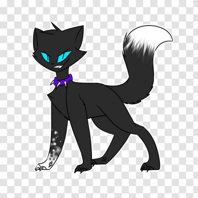 Black Cat Kitten Whiskers Canidae - Small To Medium Sized Cats Transparent PNG