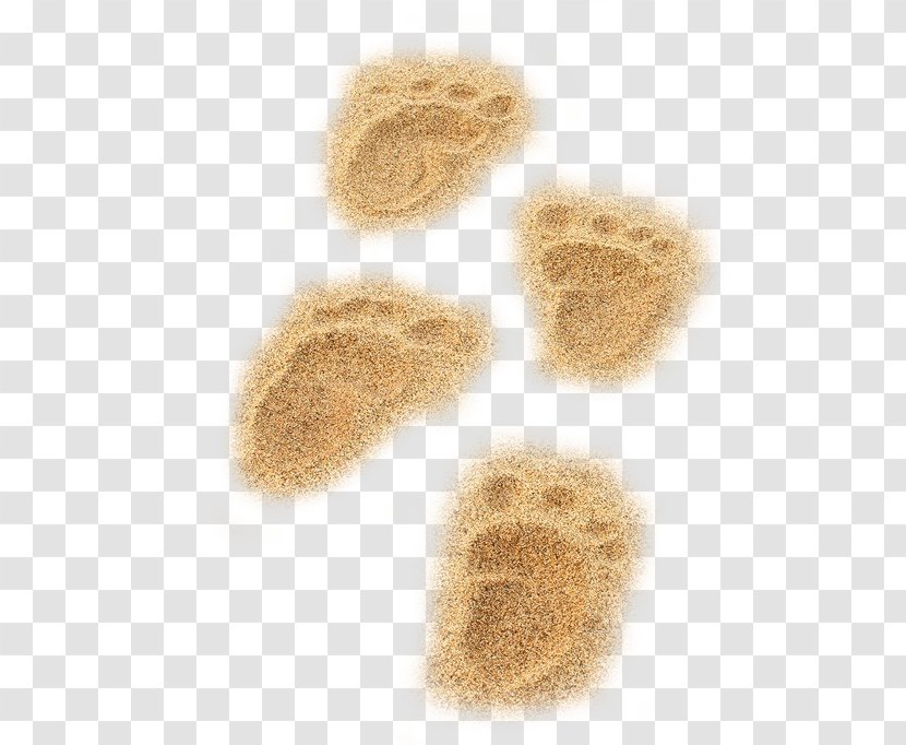 Beach Sand - Vecteur - Nice Footprints Transparent PNG