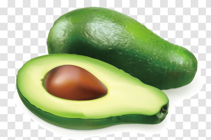 Avocado Auglis Illustration - Commodity - Vector Transparent PNG