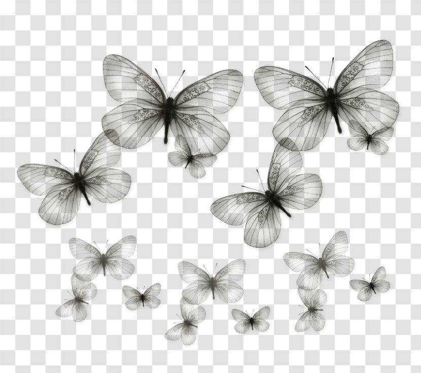 Butterfly Clip Art - Wing - Buterfly Transparent PNG