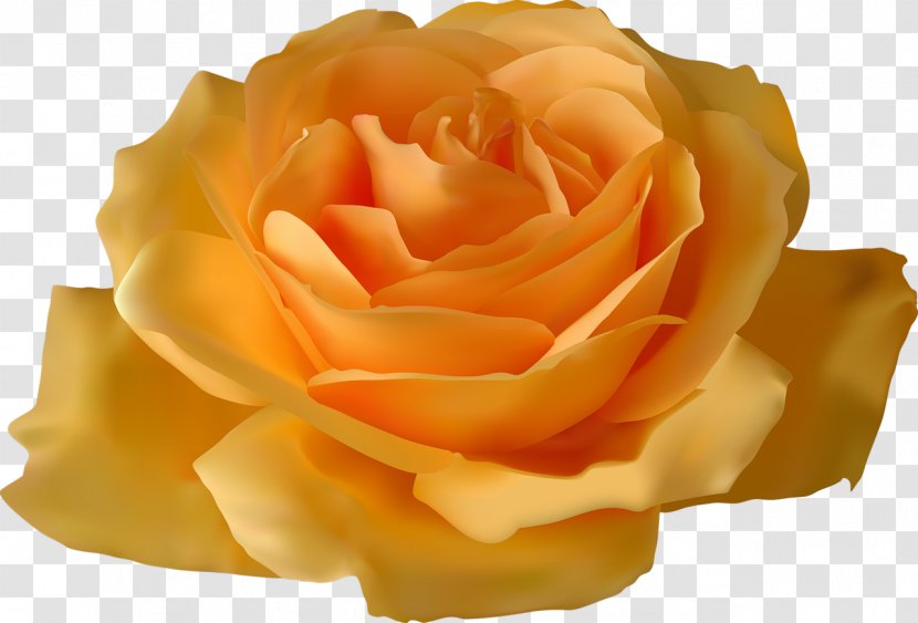 Rose Yellow Flower Clip Art - Bud Transparent PNG