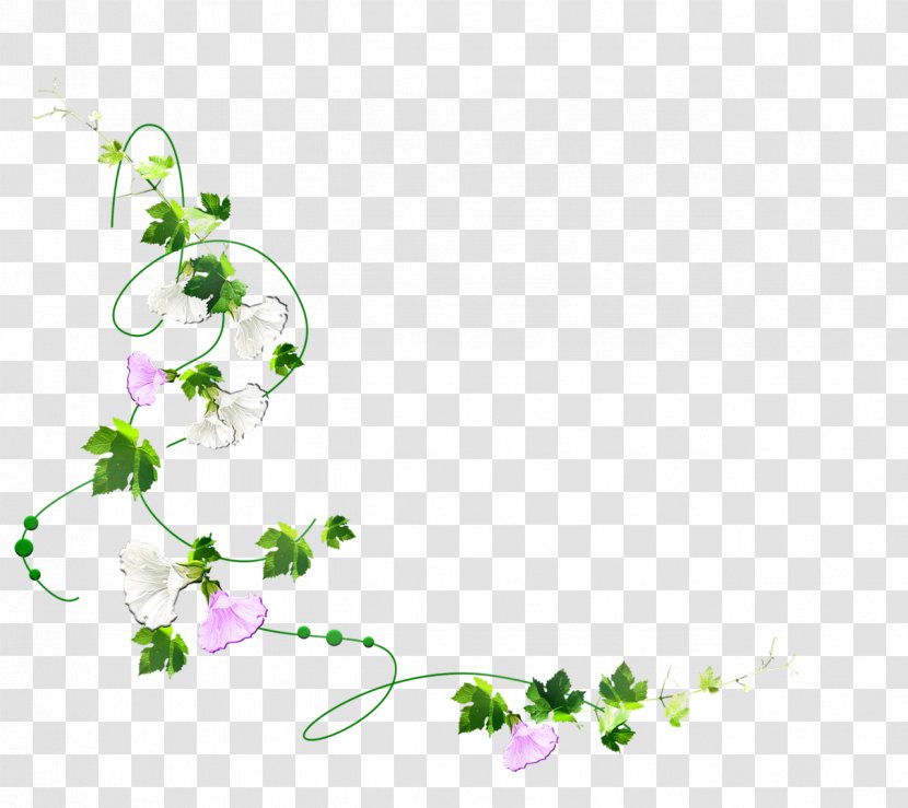 Green Vine Floral Design Clip Art - Morning Glory - Leaf Transparent PNG