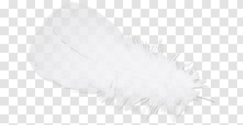 Feather White Black - Monochrome Photography Transparent PNG