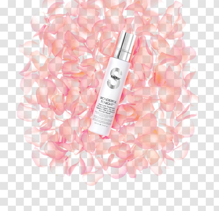 Cosmetics Pink M Lip RTV - Flower - Wonderful Transparent PNG