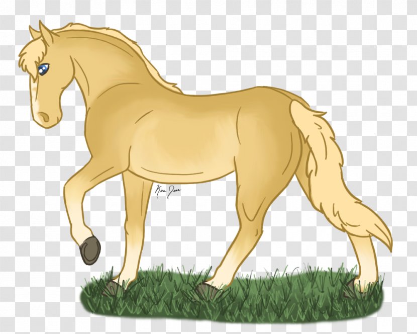 Foal Mane Stallion Mustang Colt - Horse Like Mammal - Tennessee Walking Transparent PNG