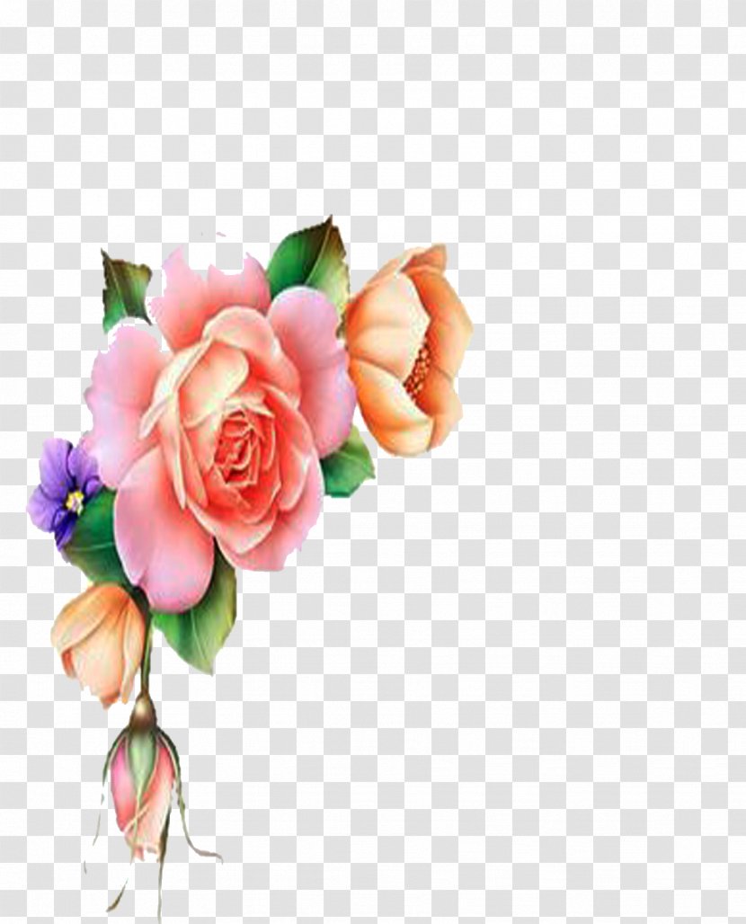 Garden Roses Cut Flowers Cabbage Rose Floral Design - Flower Bouquet - Esquineros Watercolor Transparent PNG