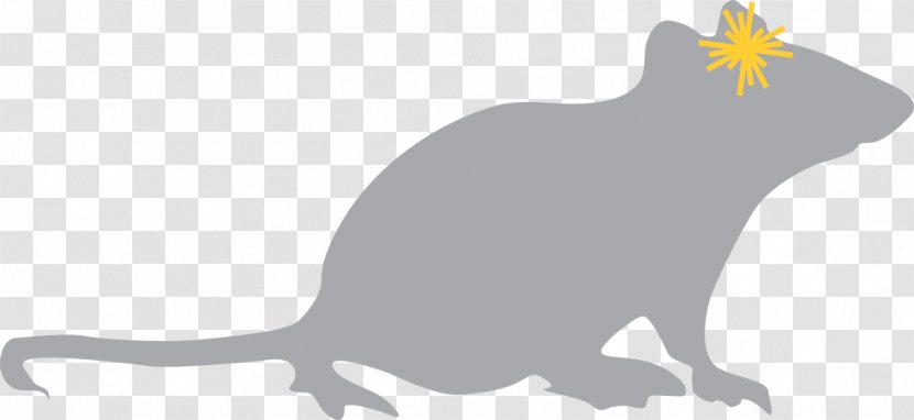 Rat Whiskers Mouse Peshawar Rodent - Muroidea - Brain Addiction Transparent PNG