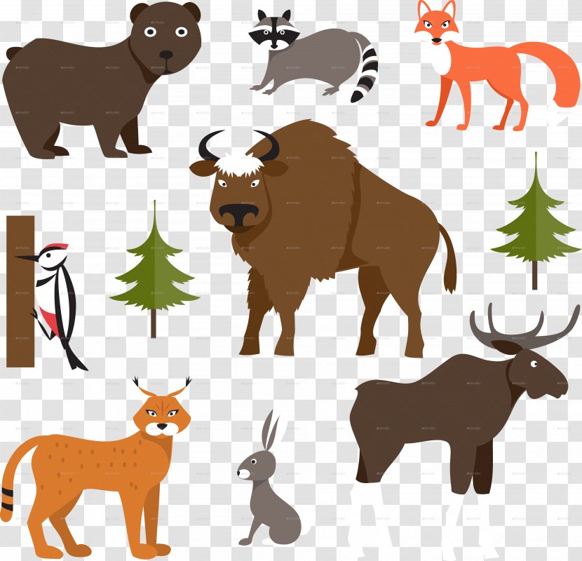 Deer Moose Elk Raccoon Bear - Organism - Animals Transparent PNG