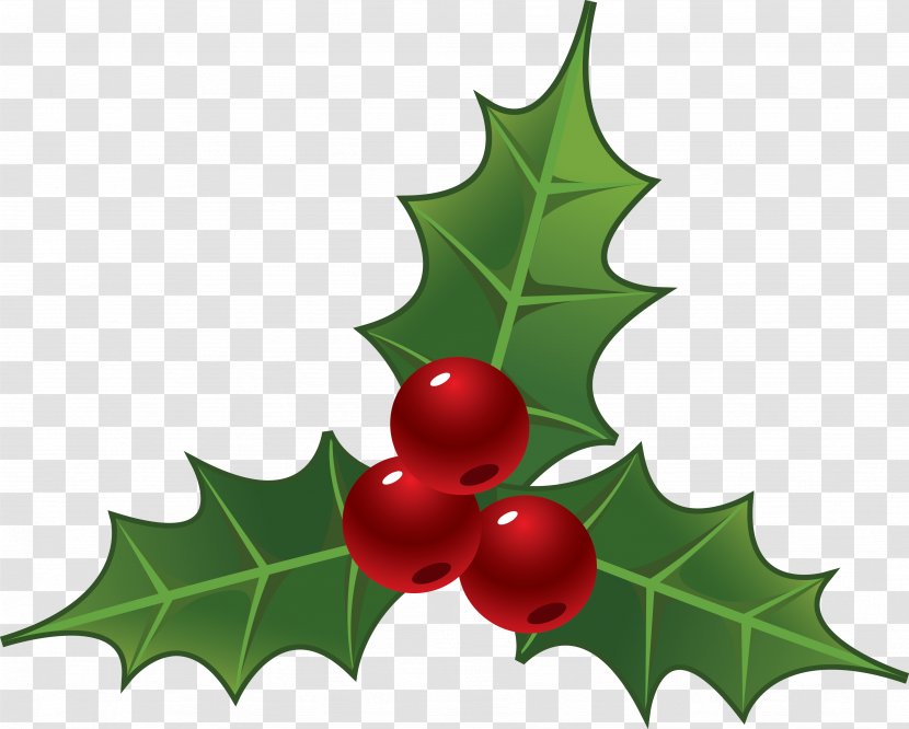 Christmas Drawing Nochebuena Clip Art - Cherry Tree Transparent PNG