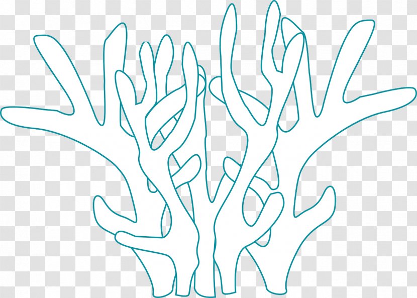 Coral Reef Animals Coloring Book Fish - Cartoon - Sea Transparent PNG