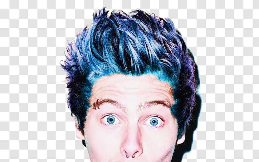 Luke Hemmings 5 Seconds Of Summer Musician Good Girls Wherever You Are - Tree - Cartoon Transparent PNG