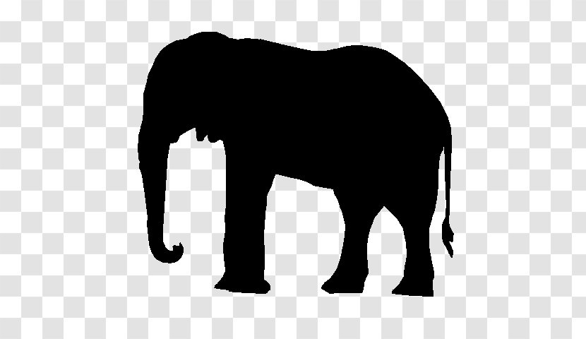 African Elephant Indian Black & White - M Terrestrial Animal Transparent PNG