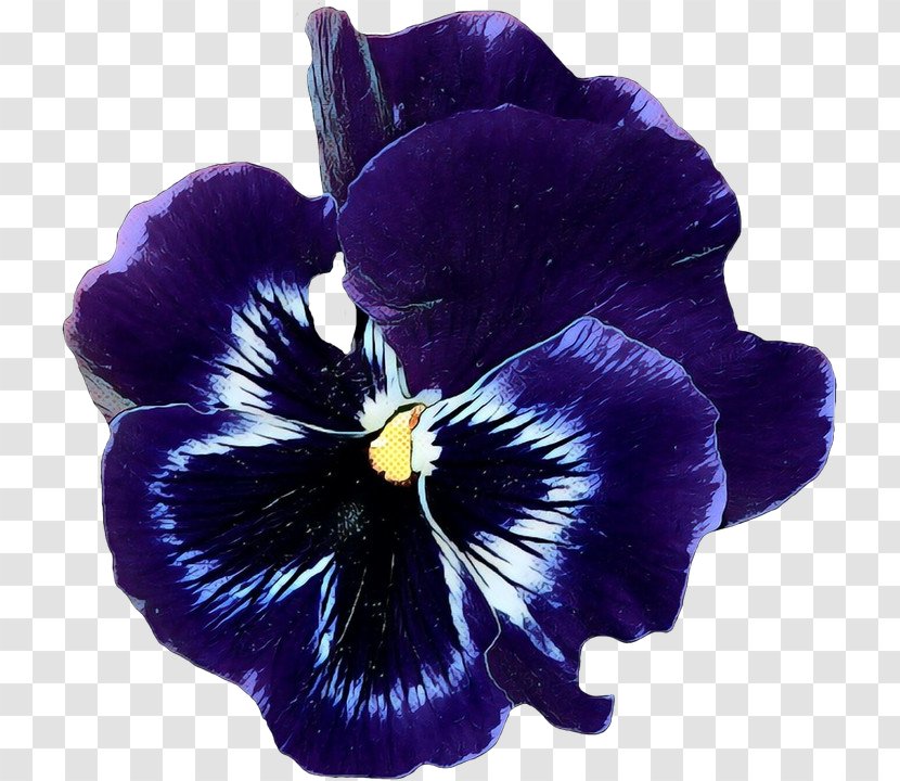 Blue Iris Flower - Green - Violet Family Transparent PNG