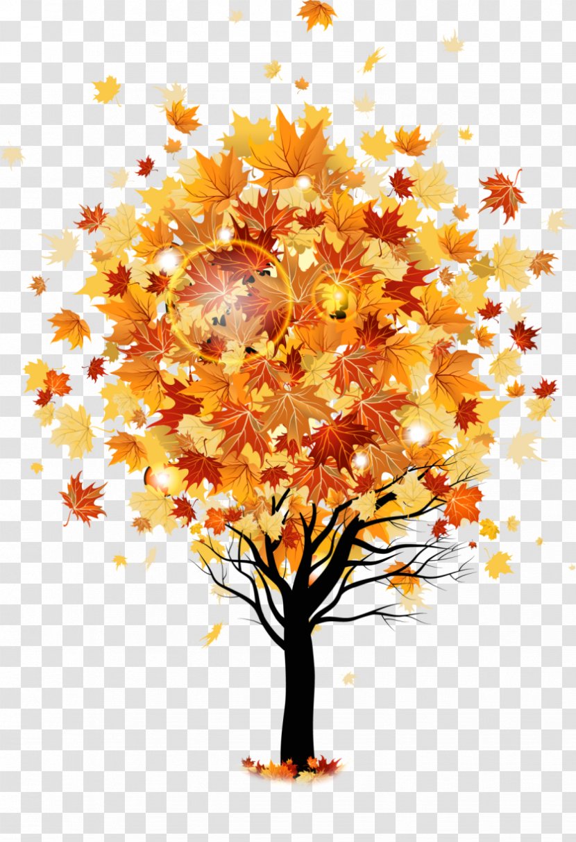 Tree Autumn Maple Stock Photography Transparent PNG