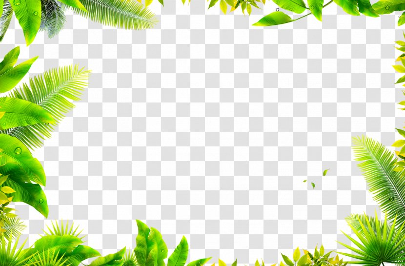 Download Leaf Computer File - Plant - Grass, Green, Leaves Transparent PNG