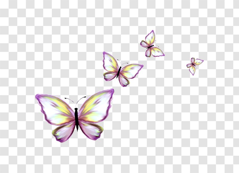Monarch Butterfly Clip Art - Floating Transparent PNG