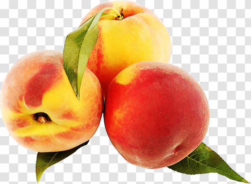 Peach European Plum Fruit Natural Foods Nectarines Transparent PNG