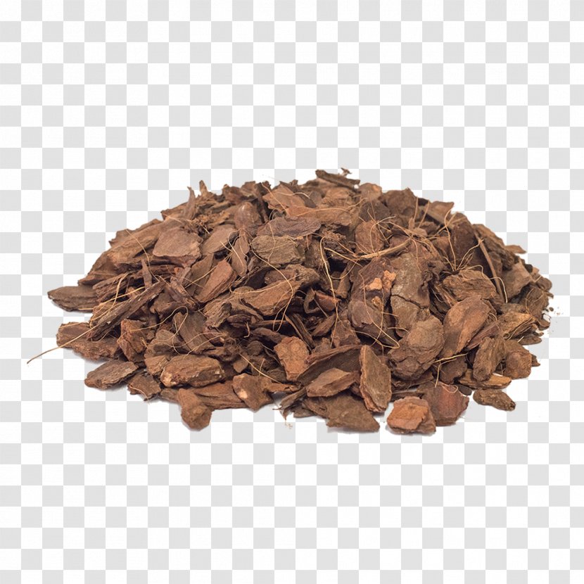 Hōjicha Cocoa Bean Commodity Flavor Theobroma Cacao - Calculadora Transparent PNG