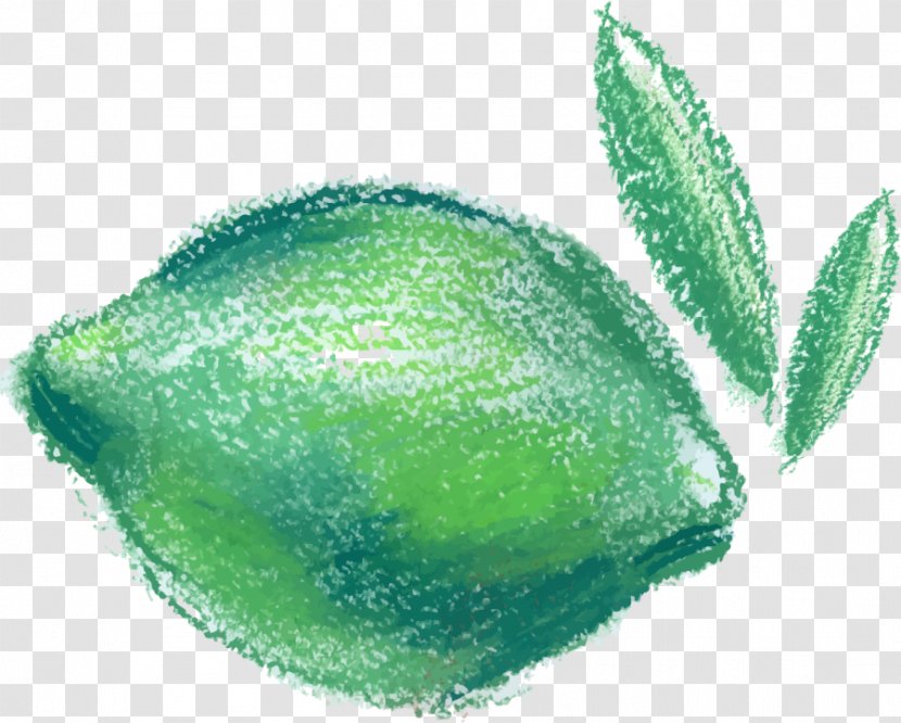 Fruit Pregnancy Food Lemon - Hand Painted Green Transparent PNG