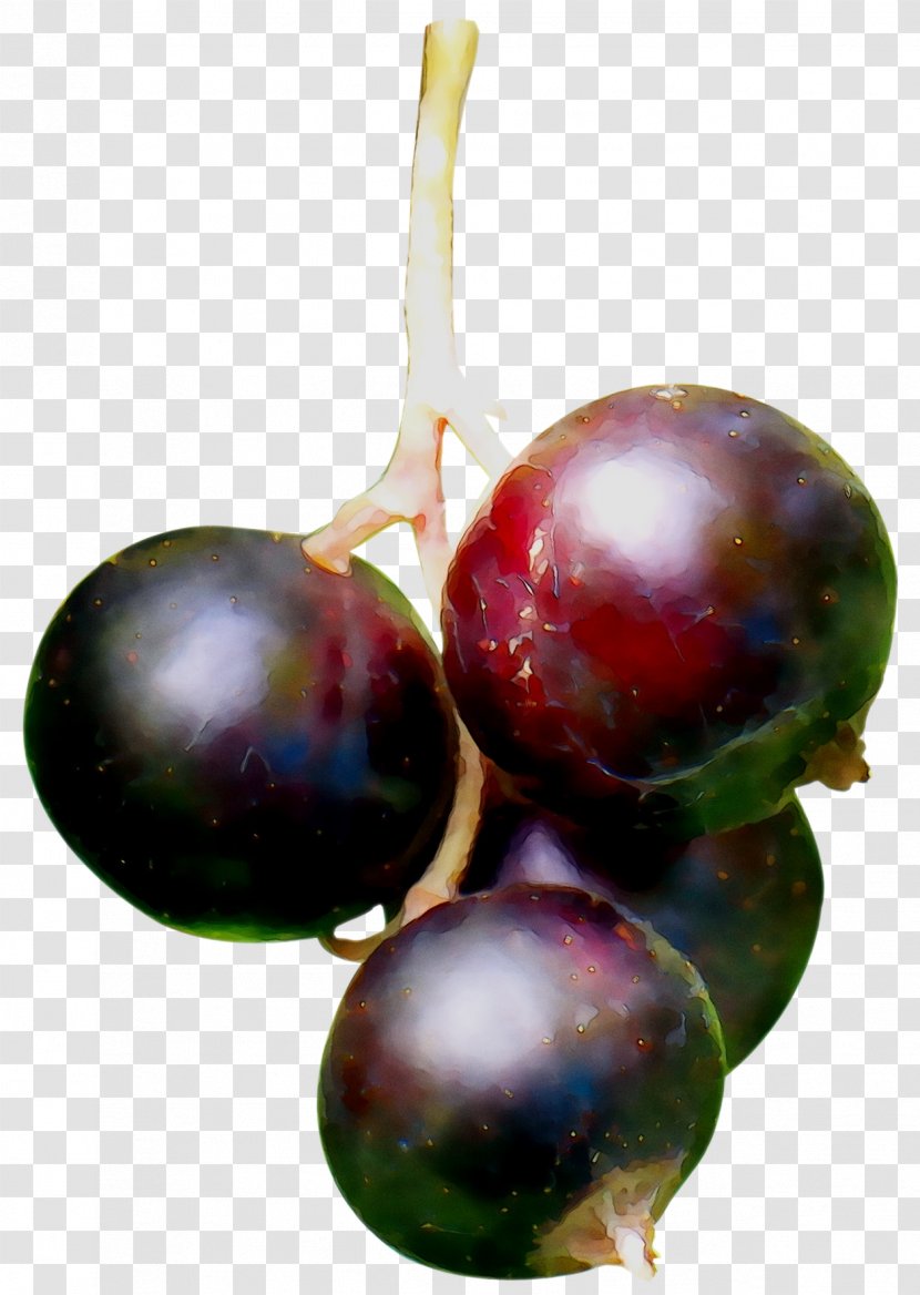 Blackcurrant Berries Black Pepper Plants Ribes Spicatum - Tamarillo - Tree Transparent PNG