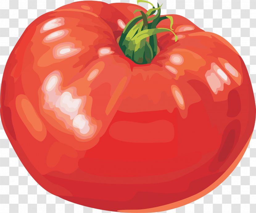 Tomato Clip Art - Natural Foods - Image Transparent PNG