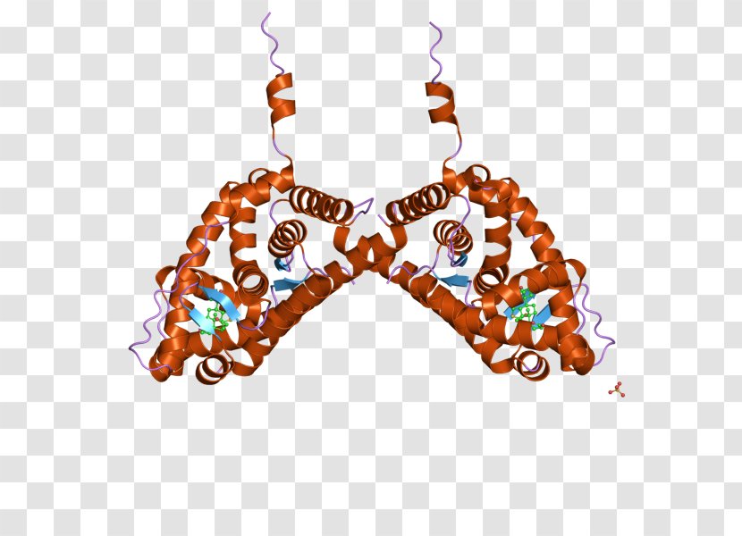 Mineralocorticoid Receptor Glucocorticoid Earring - Bzip Domain Transparent PNG
