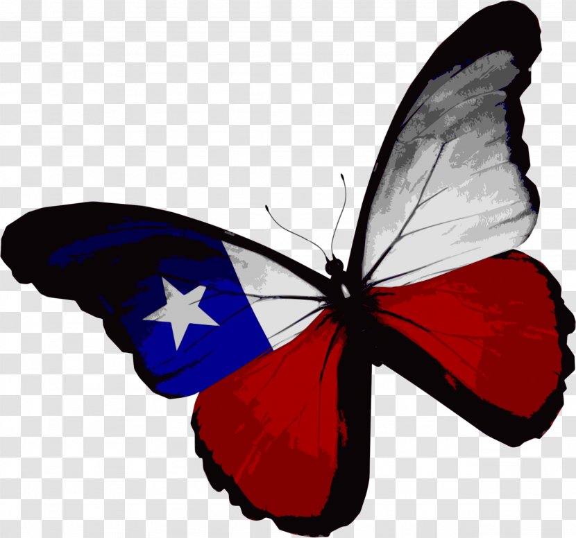 Flag Of Texas Butterfly The United States - American Transparent PNG