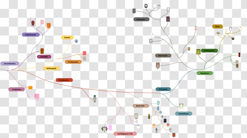 Deeeep.io Evolution Phylogenetic Tree Life Diagram - Technology Transparent PNG