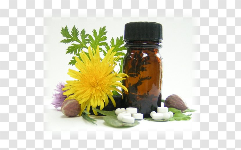 Homeopathy Essential Oil Medicine Alternative Health Services - Nature Transparent PNG
