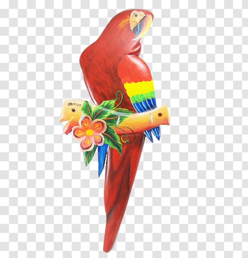 Macaw Loriini Bird Parakeet Beak - Parrot - Scarlet Transparent PNG