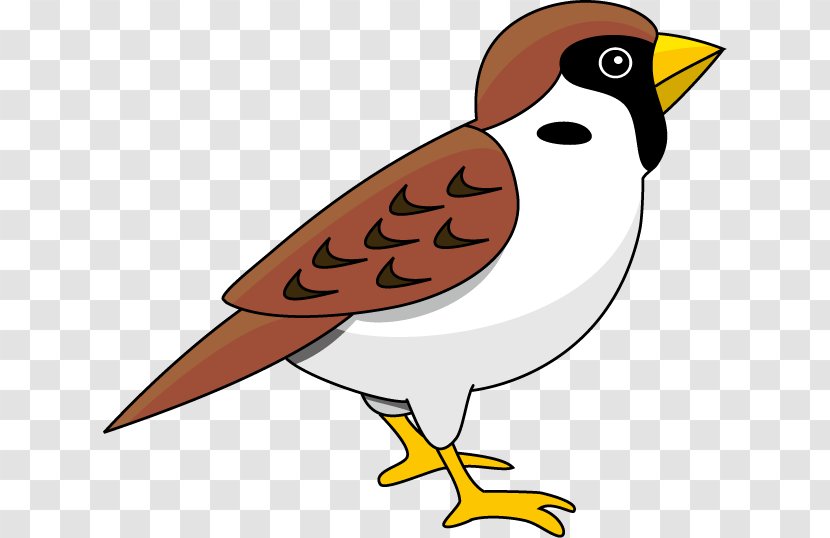 Eurasian Tree Sparrow Bird Clip Art - Java Transparent PNG