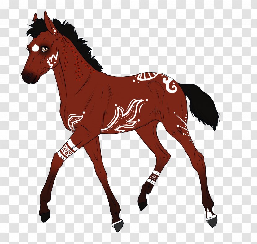 Mustang Pony Vector Graphics Illustration Photography - Mammal Transparent PNG