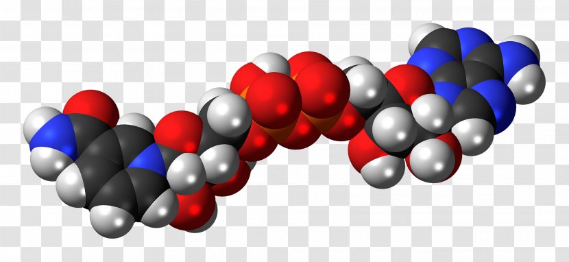 Chemical Energy Acid Space-filling Model Reaction Molecule - Blue - Phosphate Transparent PNG