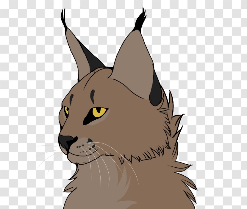 Kitten Wildcat Whiskers Caracal - Paw Transparent PNG