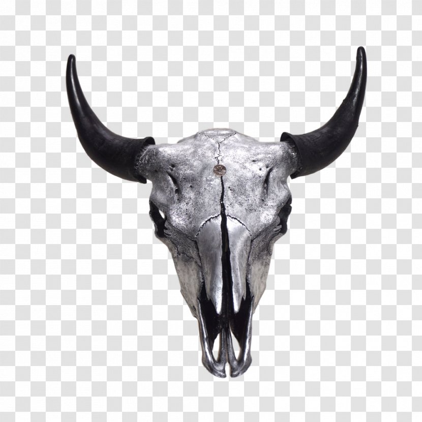 Skull Snout - Buffalo Transparent PNG