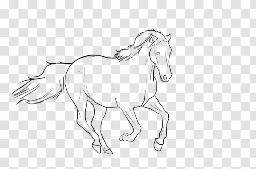 Mane Rocky Mountain Horse Bridle Pony Mustang - Tail Transparent PNG