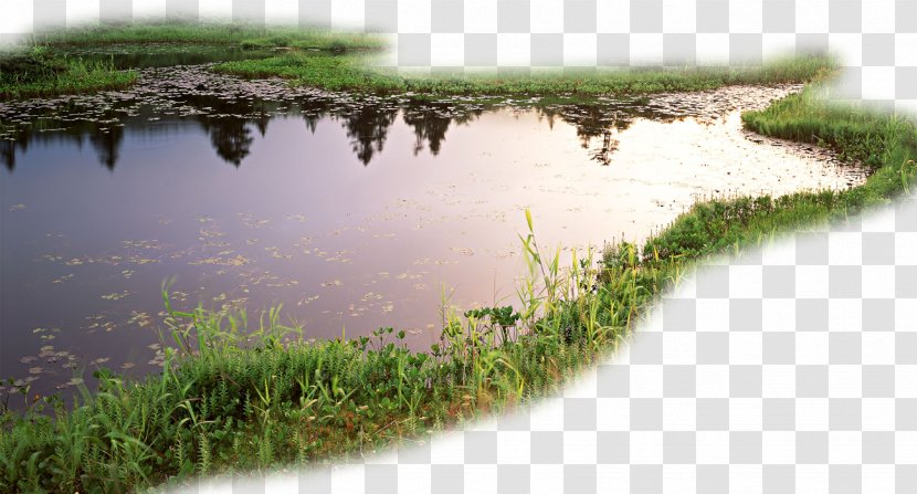 Lake Stream - Landscaping - Creative Style Lakes Transparent PNG